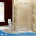 Puerta giratoria de ducha de vidrio esmerilado de Sally Neo-Angle