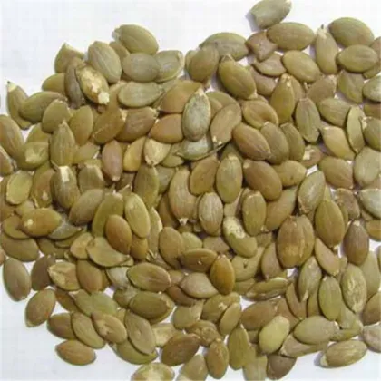 Organic Natural Dried Bulk Pumpkin Seeds