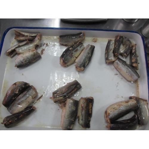 Exportando Sardinha Enlatada Deliciosa Em Óleo