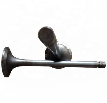 Search Engine Title: Replacement Air Intake Valve Compatibility Guide for Selis Truck Models