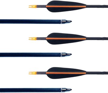 12 Pcs Carbon Crossbow Bolt Hunting Bow and Arrow Set with Good Carbon Tips, 300