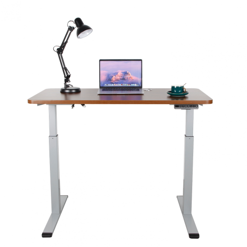 Office Dual Motor Stand up Electric Standing Desk