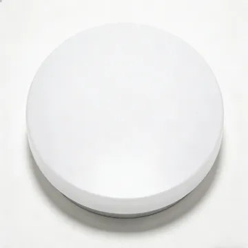 Low profile ceiling light LED