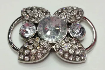 Rhinestone Shoe Accessory