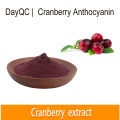 Natürlicher Cranberry -Extrakt Pulver PAC 25% Anthocyanin