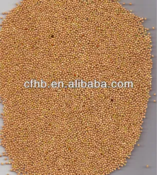 red millet in husk
