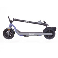 Bagong Disenyo 10inch 350W Electric Scooter