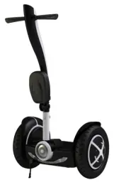 Fashion Mini Electric Chariot Seg Way