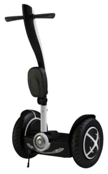 Fashion Mini Electric Chariot Seg Way