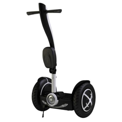 Fashion Mini Electric Chariot Seg Way