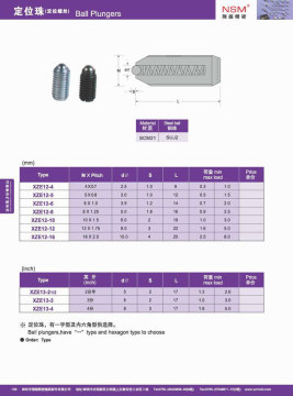Scm21 Ball Plungers (XZE12-13)