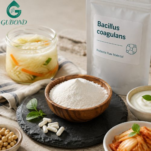 Polvo de bacilo coagulano de alta potencia