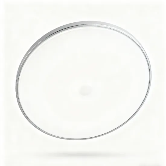 Decorative Modern Ceiling Light