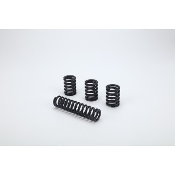 ضغط الربيع سلسلة ZW20