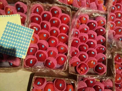 Tianshui wangrun apple round apple wholesale natural round apple