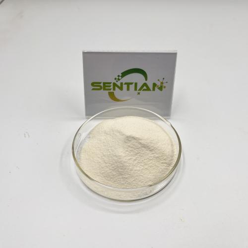 Beta-Galactosidase Acid Lactase Powder CAS 9031-11-2