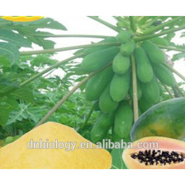 Hot sale Mango seed extract/Mango powder/Lost weight plant extract