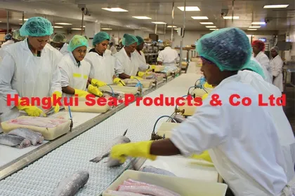 Nile Perch fish fillets