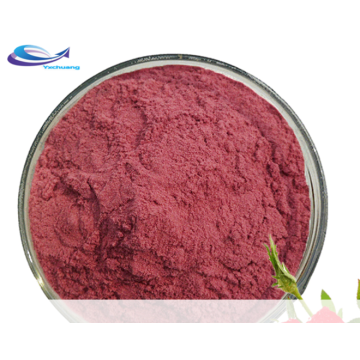 100% superfood Rose flower powder completely dissolved