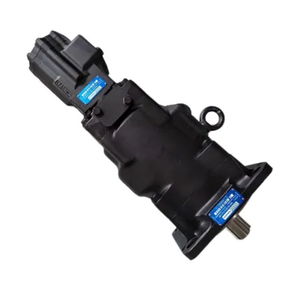 Denison T6EE/T6CCW Professional Hydraulic Vane Pump - Excellent Quality