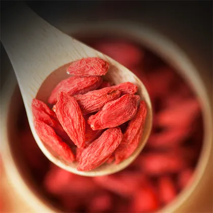 Organic  Nature Ningxia Goji Berry