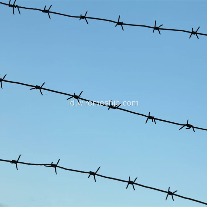 Galvanized Barbed Wire Single Strand Type