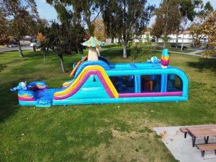 Commercial Grade Bouncy Castle: Mushroom Ice Cream Design for Kids