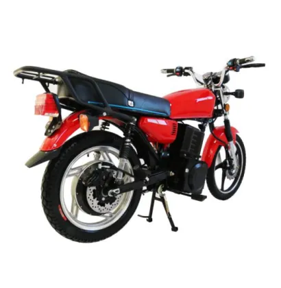 adult citycoco tres ruedas reverse electric motorcycle