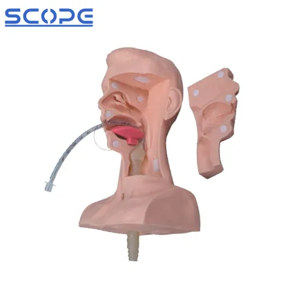 PVC Advanced Sputum Suction Nursing Manikin SC-H85