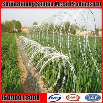 CBT 65 Concertina wire 33 loops 8m cover length