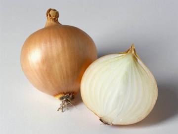 Professional Exporting Fresh Yellow Onion