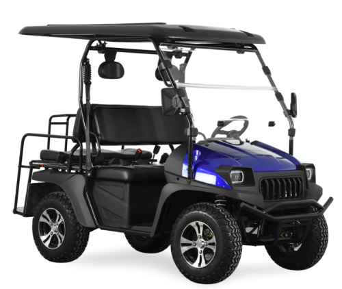 Electric UTV med EEG 5KW Electric UTV