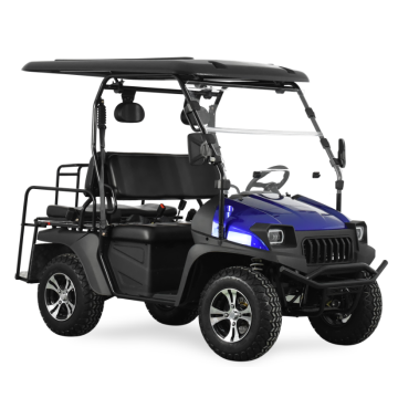 Electric UTV with EEC 5KW Electric UTV