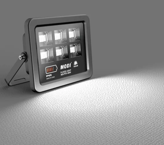 Motion sensor floodlight with remote control
