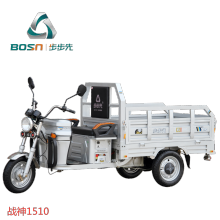 electric tricycle for cargo and passenger