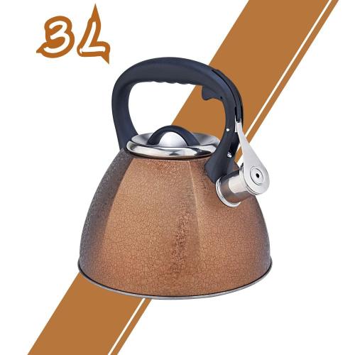 Golden Frosted Stainless Steel Whistling Tea Kettle