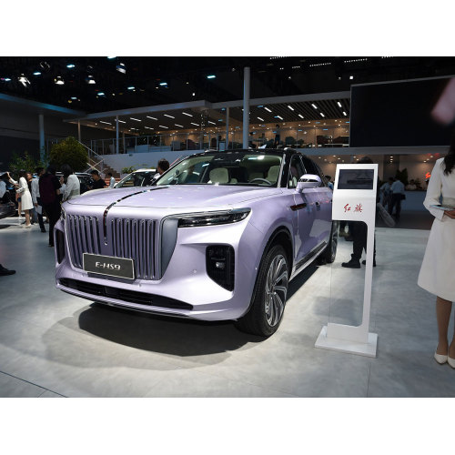 顶级新能量车Hongqi E-HS9电气