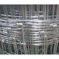 /msite/products/detail/productid/57027986/id/666379.html