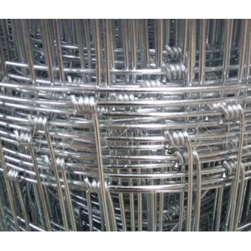 Galvanized Grassland Farm Fence / Field Cattle Fence