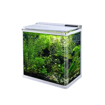 Großhandel einzigartiges kleines Mini -Glas -Aquarium -Accessoires für Fischtank - T -620f