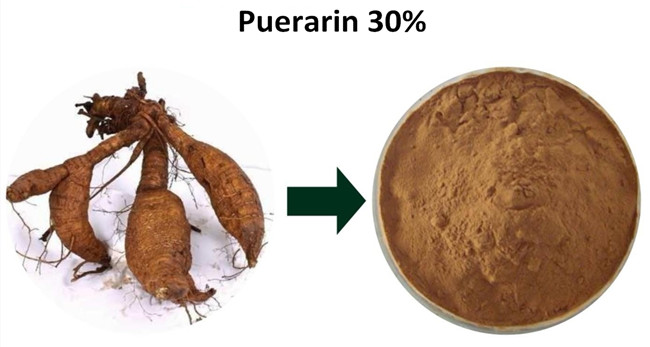 puerarin