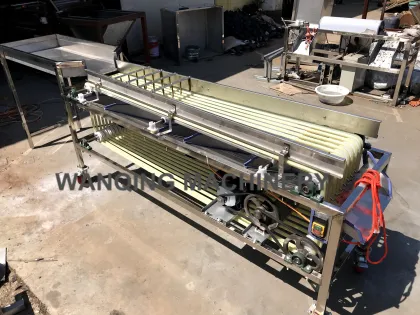 5 Grade Sorting Machine Equipment for Dates, Plums, Oranges, and Avocados