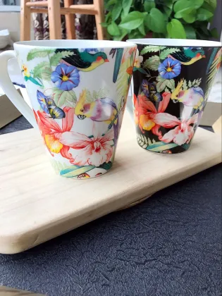 Western style steak plate, flat plate, bowl