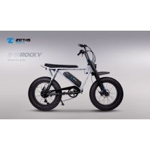Bicicleta eléctrica bicicleta rocosa e bicicleta