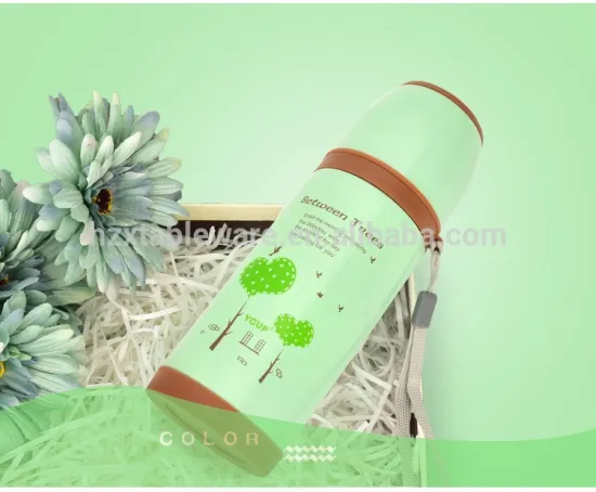 Stainless Vacuum Insulated Steel Water Bottle with Modern Design