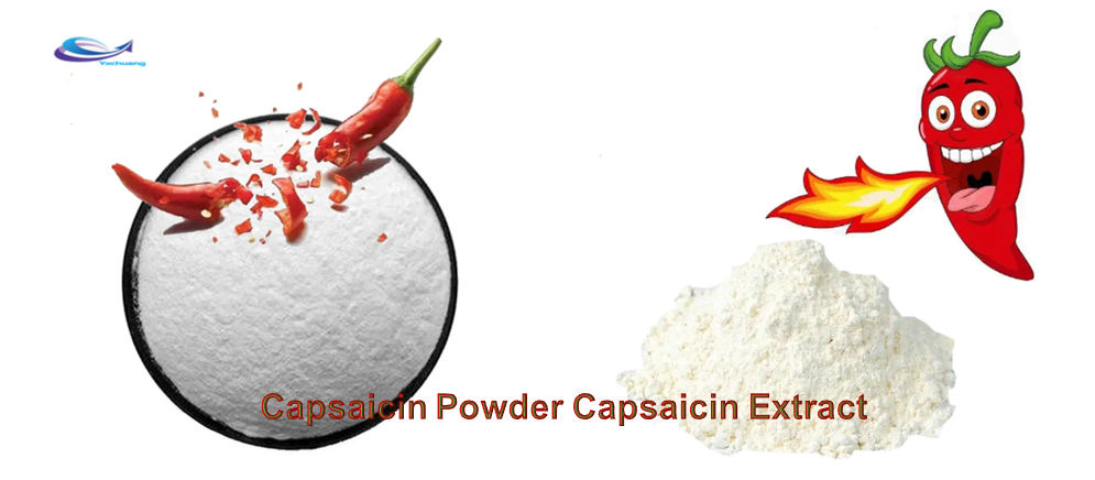 Capsaicin Powder Capsaicin Extract