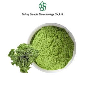 Organic Kale Powder for Nutrient-Rich Smoothies and Health Boost