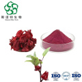 Hibiscus Sabdariffa Extract: Natural Wellness Supplement for Vitality