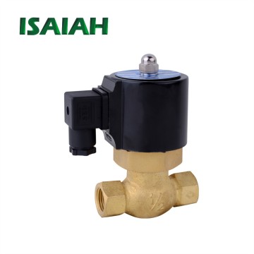 12V 220V Brass Solenoid Water Valve - 2 Way 2 Position Steam Quality Control Valve
