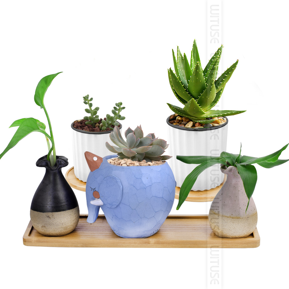 WITUSE home Ceramic micro garden Wedding mini Flowerpots square juicy plants vase flower pots trays container small bonsai pot